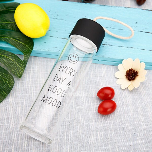 Frosted Water bottle - 360 ml